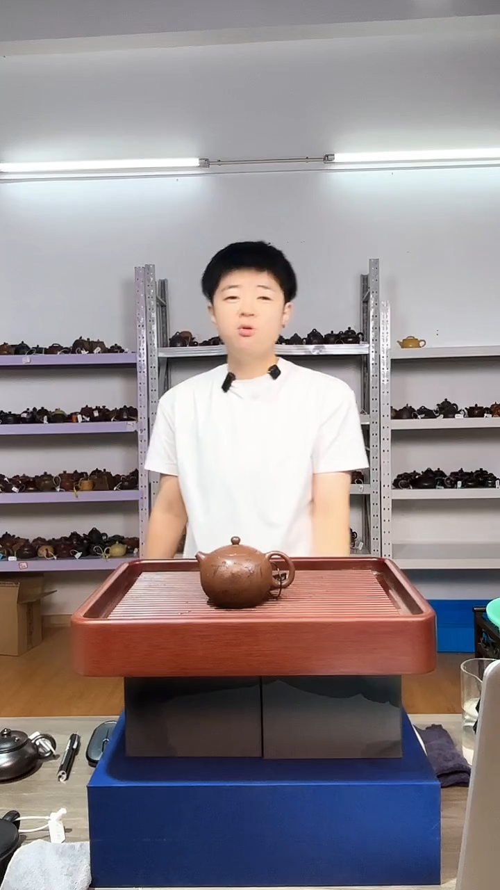 茶壶紫砂底槽清知了西施紫砂壶（2）