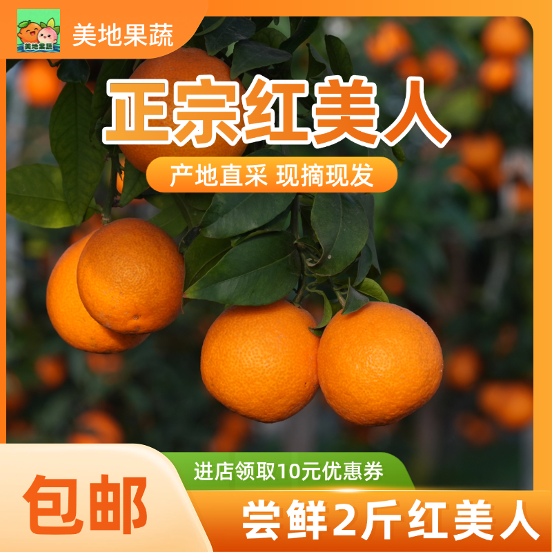 【尝鲜正宗红美人2斤】精品水果红美人皮薄汁多农家果冻橙