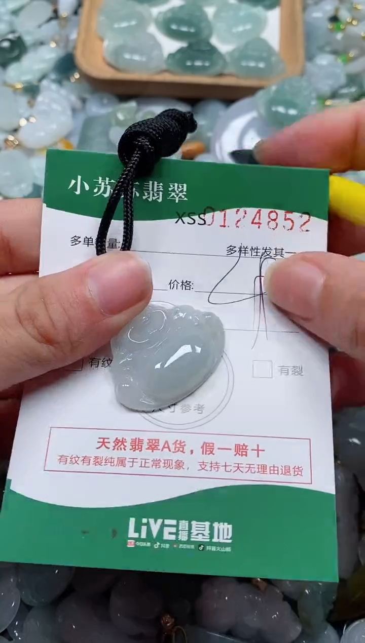 【闪购商品】翡翠颈饰未镶嵌闪购商品0124852