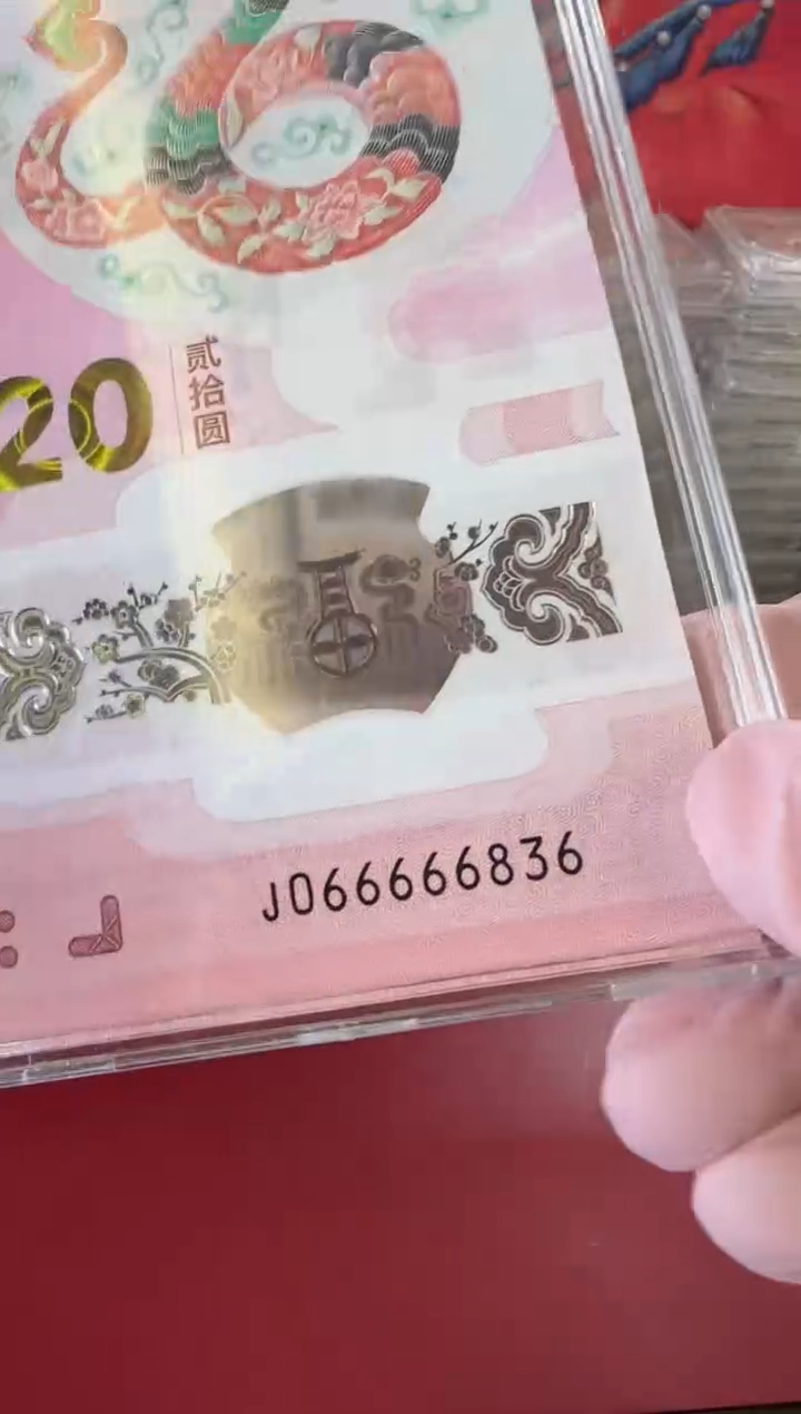 【闪购商品】塑料2025蛇钞单张裸啊啊啊啊啊