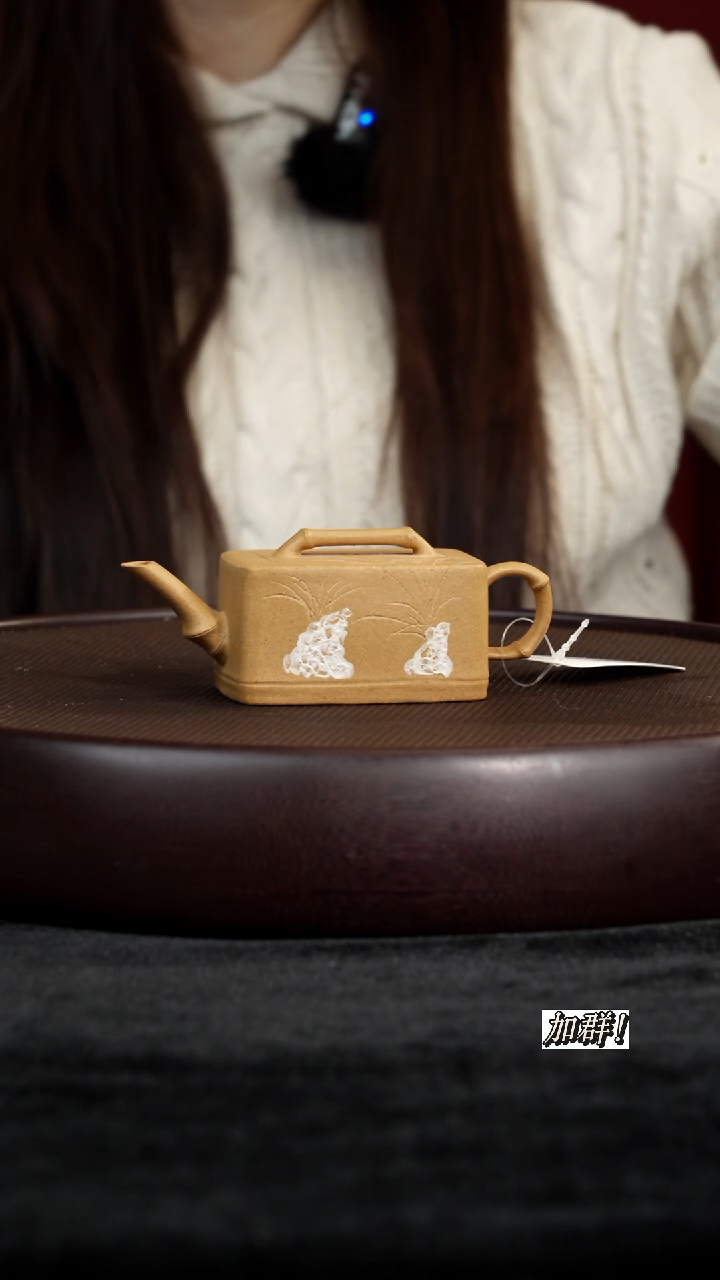 茶壶紫砂ZJ911090段泥竹节100c