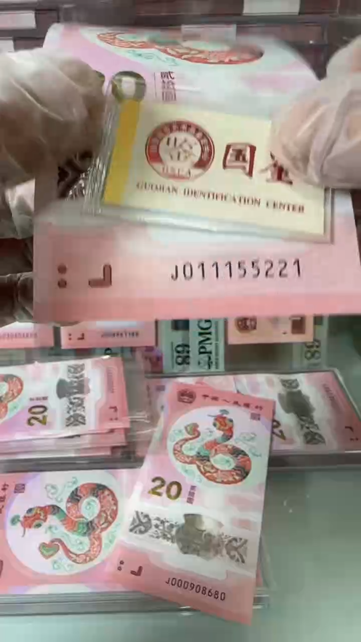 【闪购商品】塑料011155221蛇钞单张