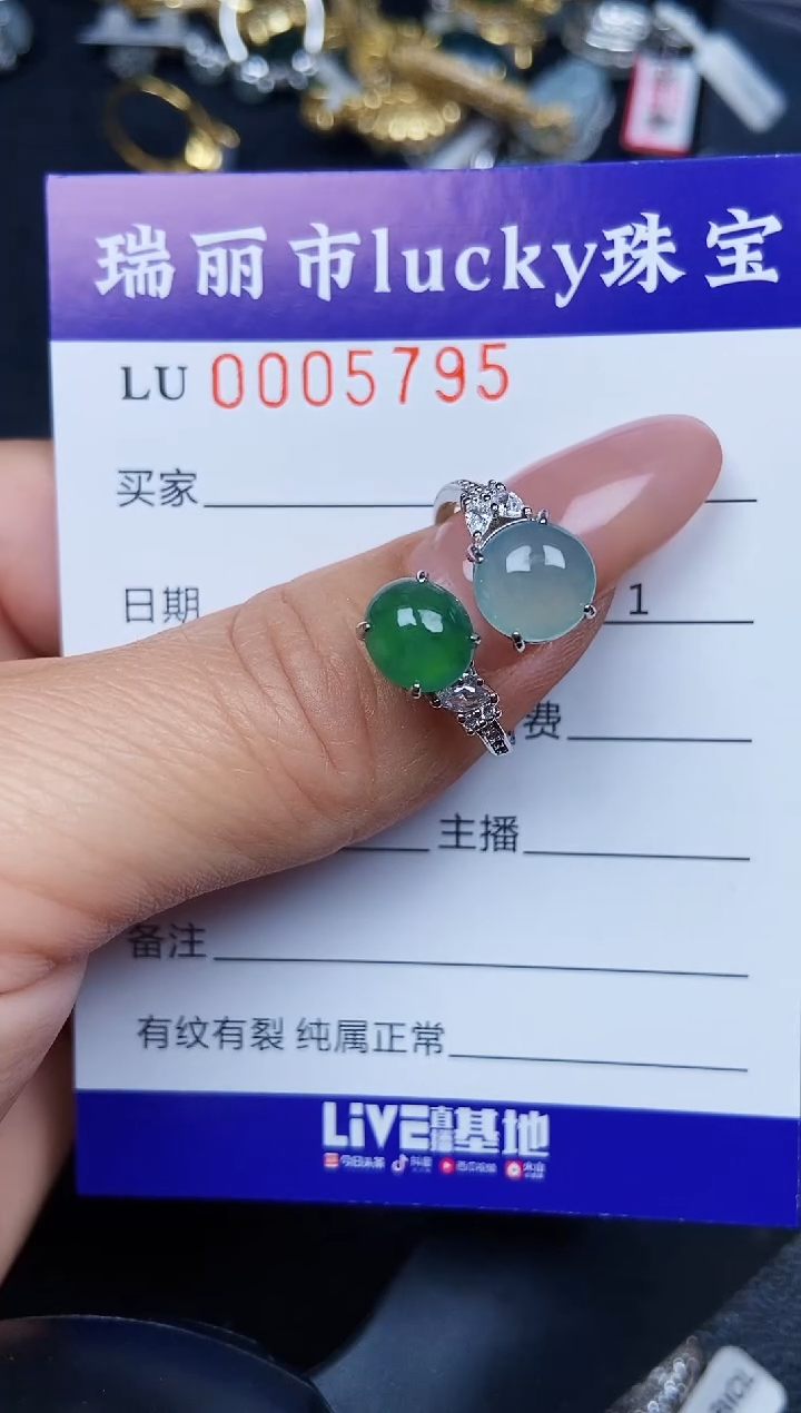 翡翠银S925镶嵌颈饰5795