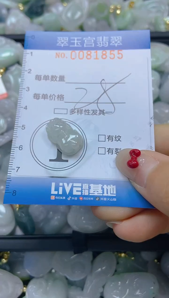 【闪购商品】翡翠颈饰未镶嵌闪购0081855