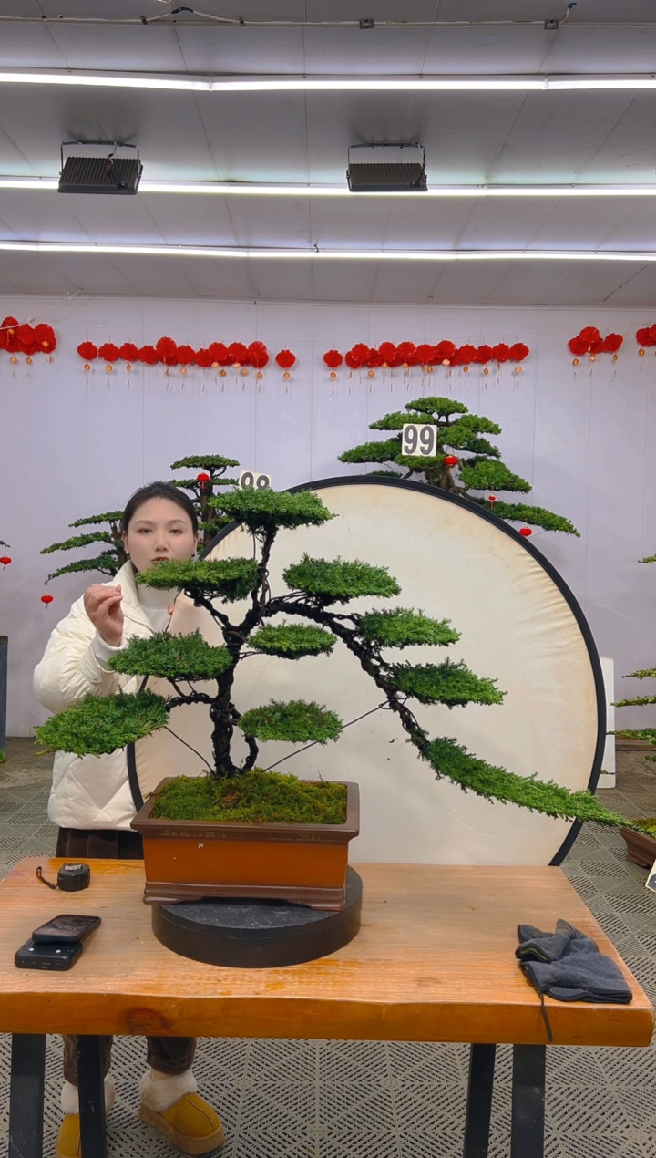 【闪购商品】盆景1