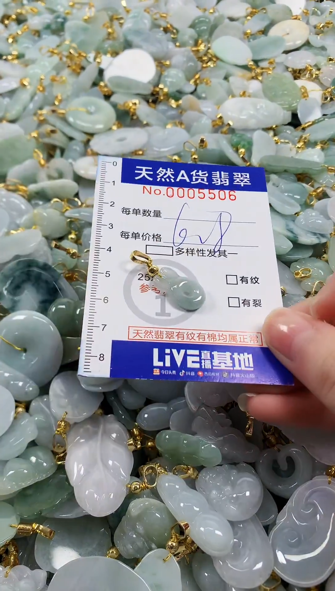 颈饰未镶嵌翡翠天然a货翡翠