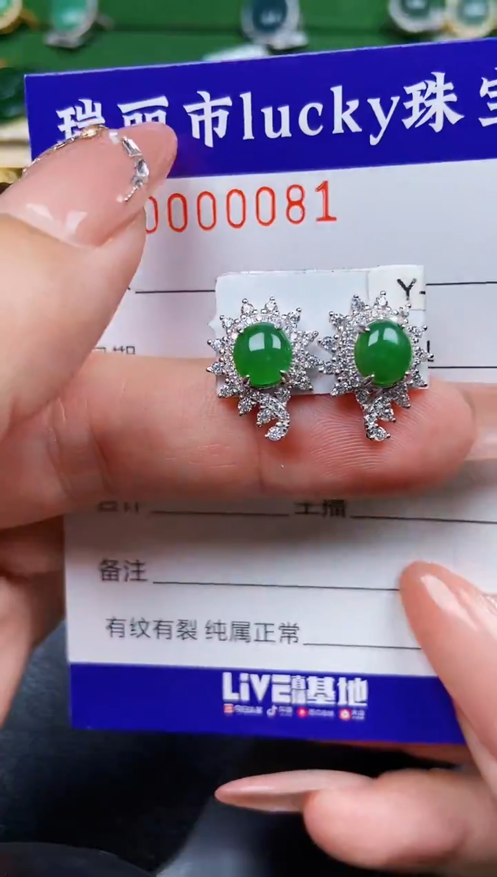 【闪购商品】翡翠颈饰银S925镶嵌0081