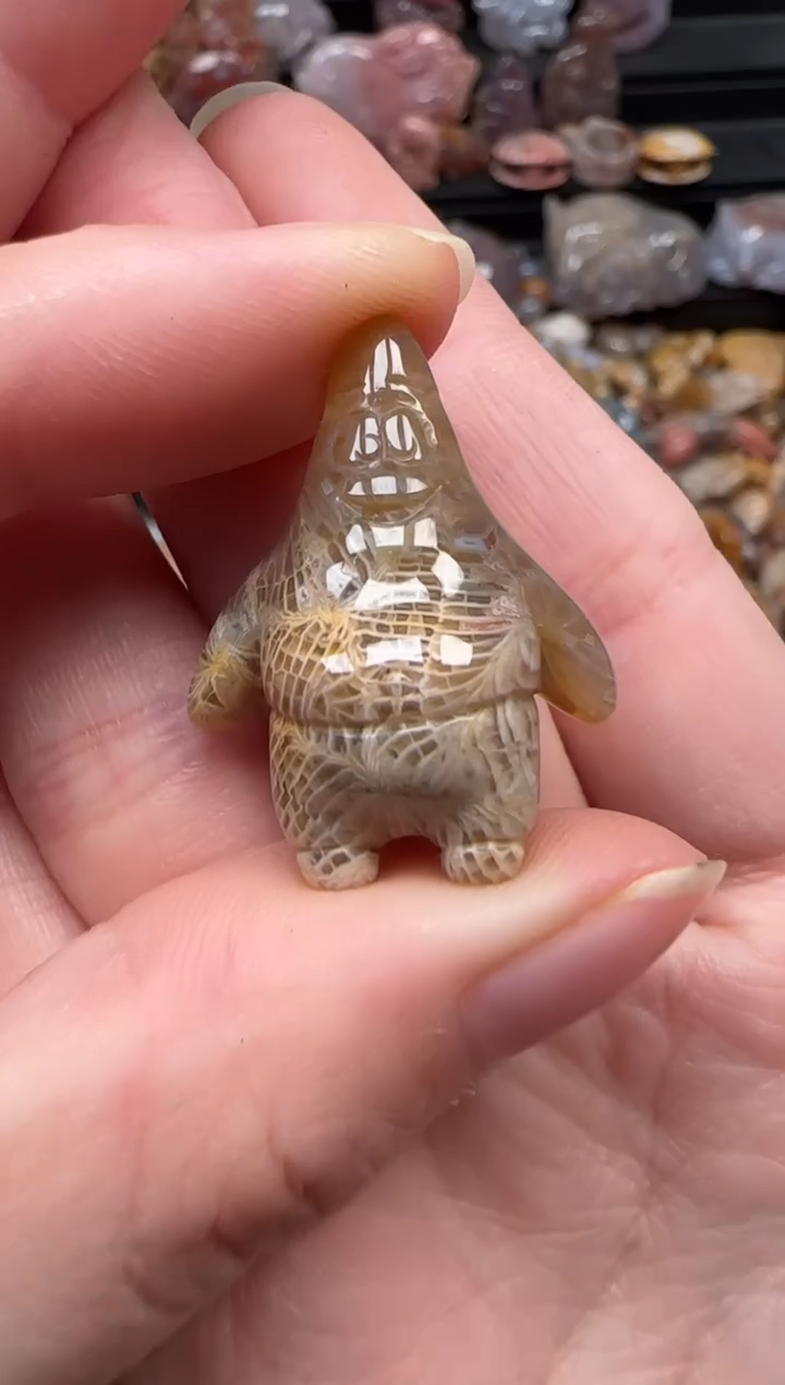 颈饰未镶嵌硅化珊瑚（珊瑚玉）284