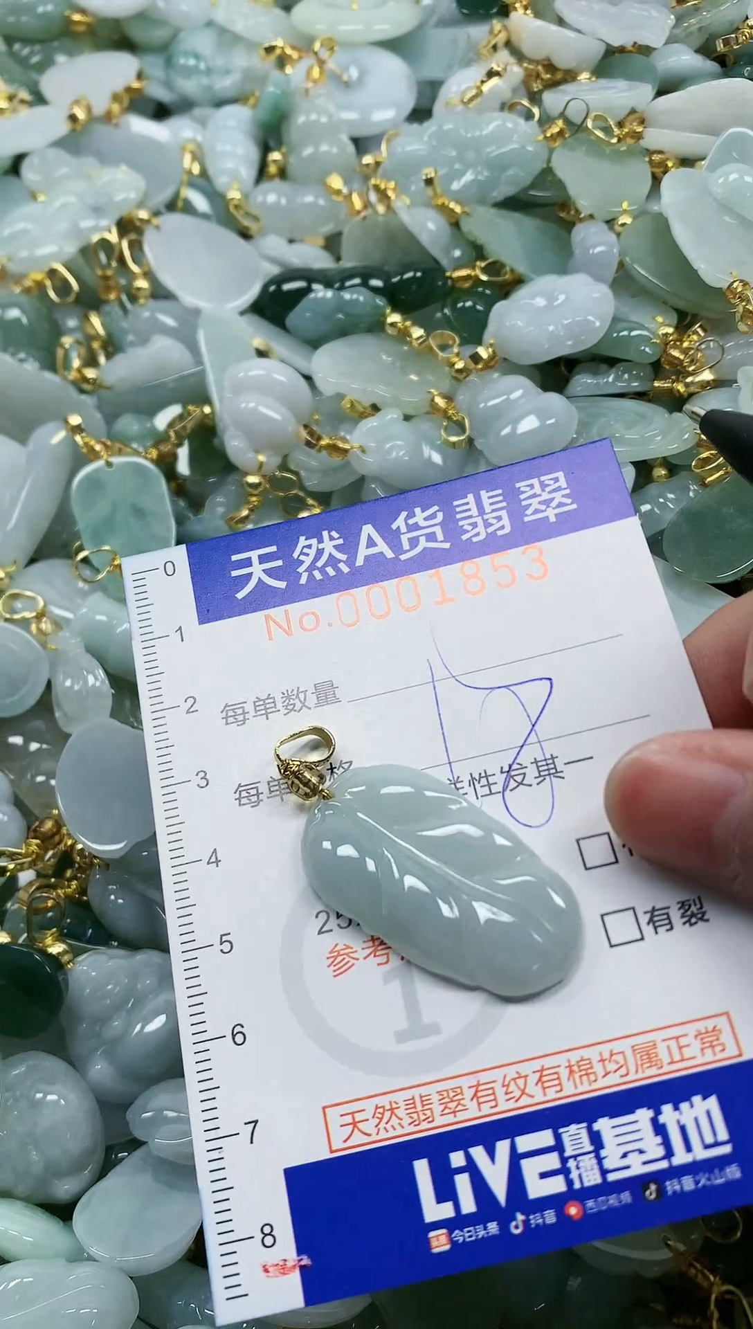 颈饰未镶嵌翡翠纯天然a货翡翠