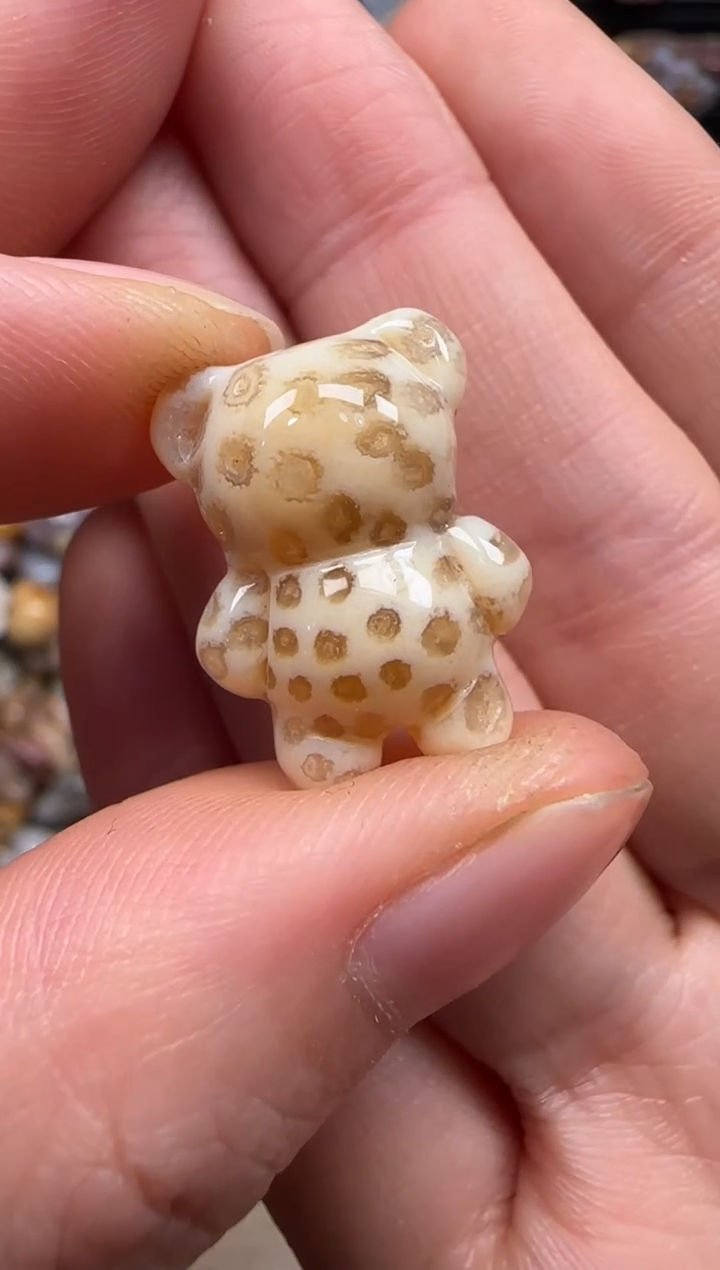 【闪购商品】硅化珊瑚（珊瑚玉）颈饰未镶嵌056