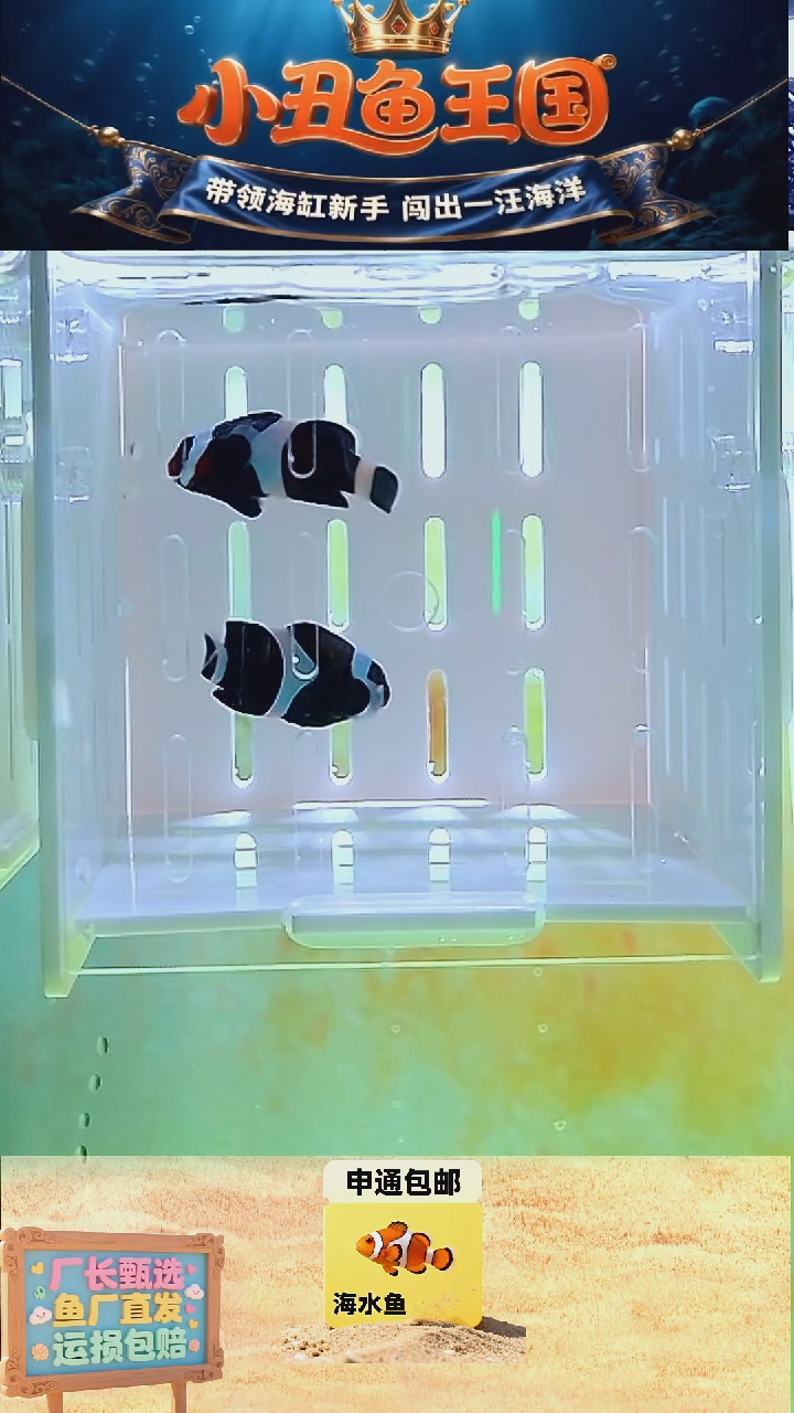 海水鱼一对奥黑4+
