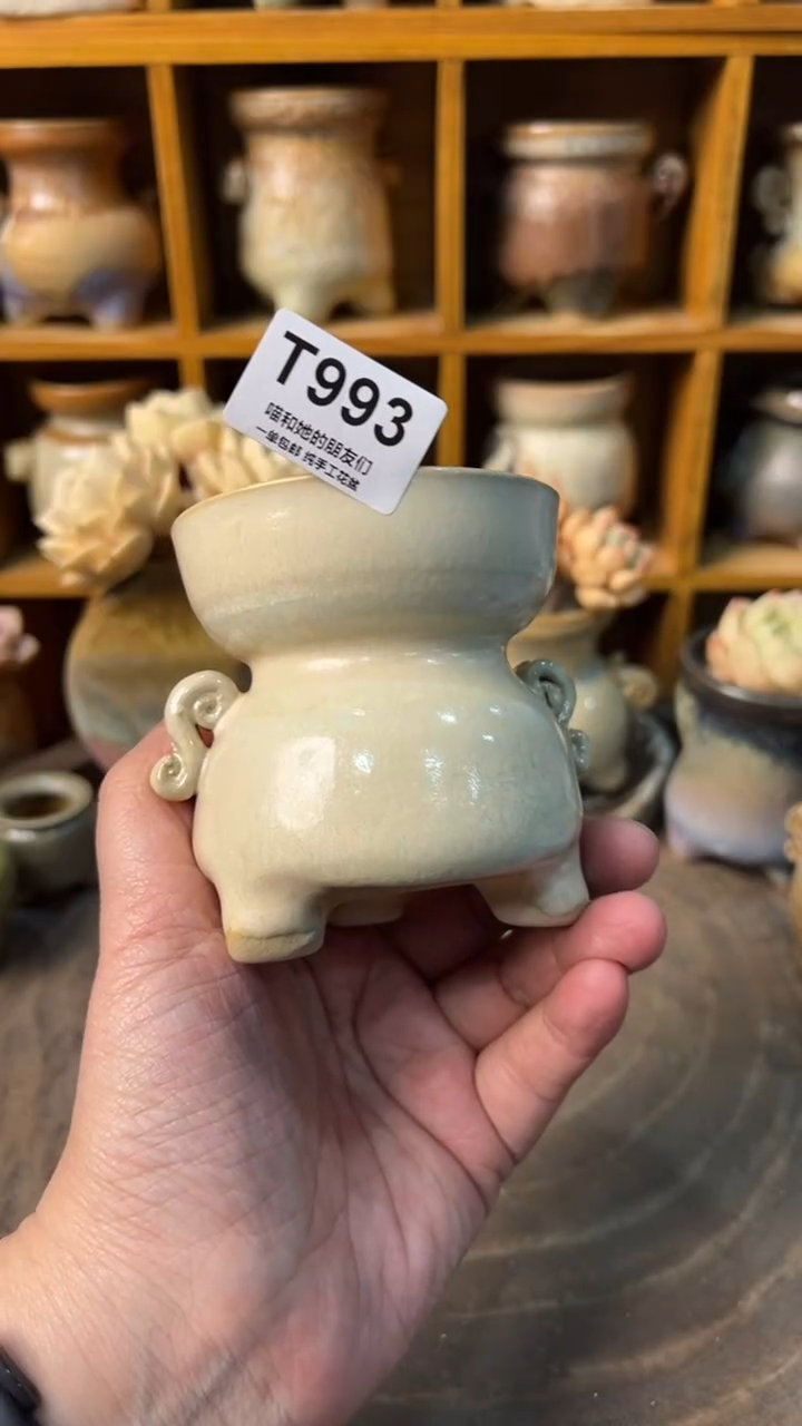 993 内口6.5【多肉花盆多肉盆】