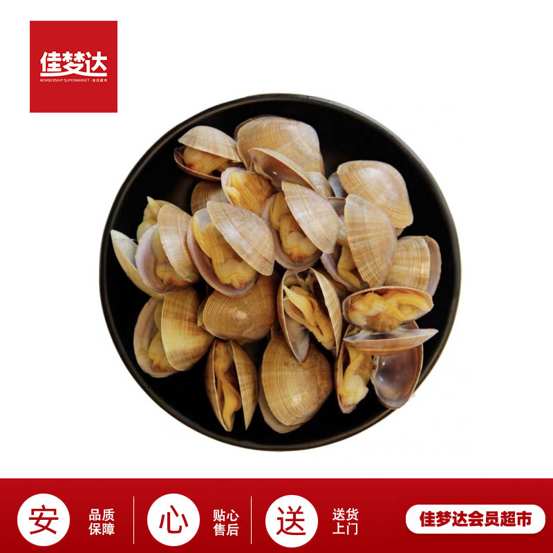 大黄蚬子 （保鲜不包活运输过程可能出现断氧介意慎拍）