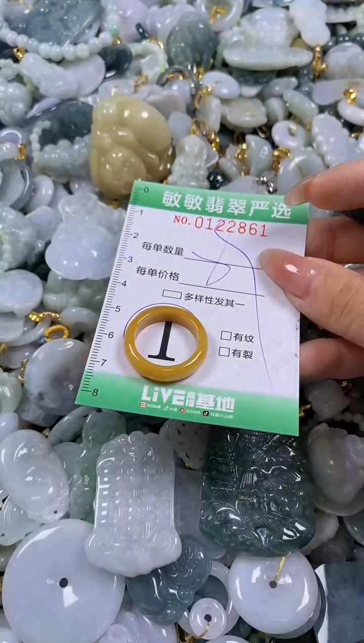 【闪购商品】翡翠颈饰未镶嵌闪购0122861