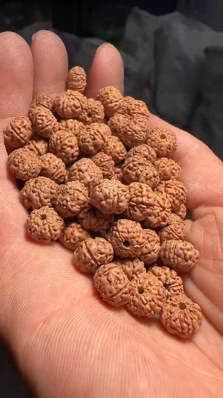 金刚菩提手串非全品树王散籽9-10mm一份一百颗