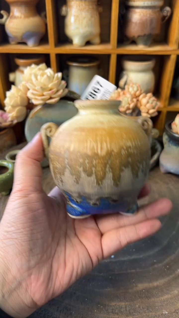 867 内口3【多肉花盆多肉盆】