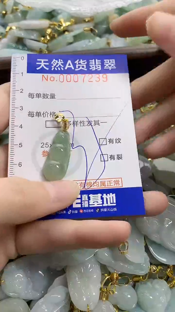 颈饰未镶嵌翡翠天然A货翡翠