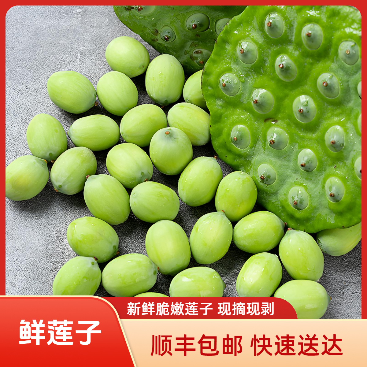 【顺丰包邮】新鲜脆嫩莲子应季莲蓬孕妇生吃莲蓬米农家自种现摘现剥
