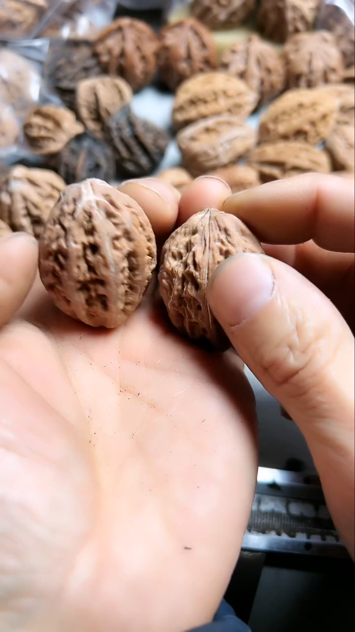 核桃东北野生大秋子6