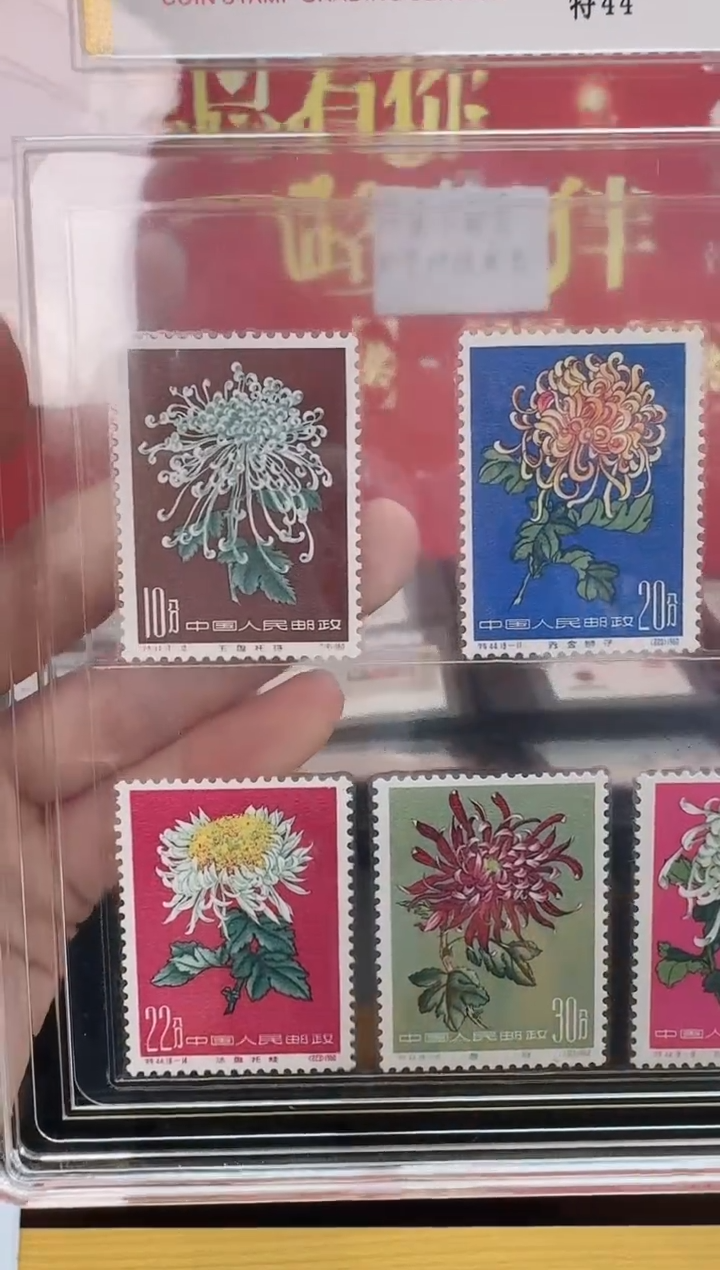 特44菊花套票邮票