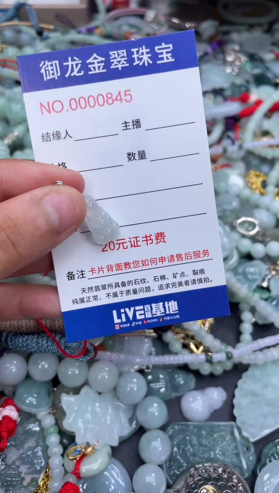 翡翠未镶嵌颈饰062