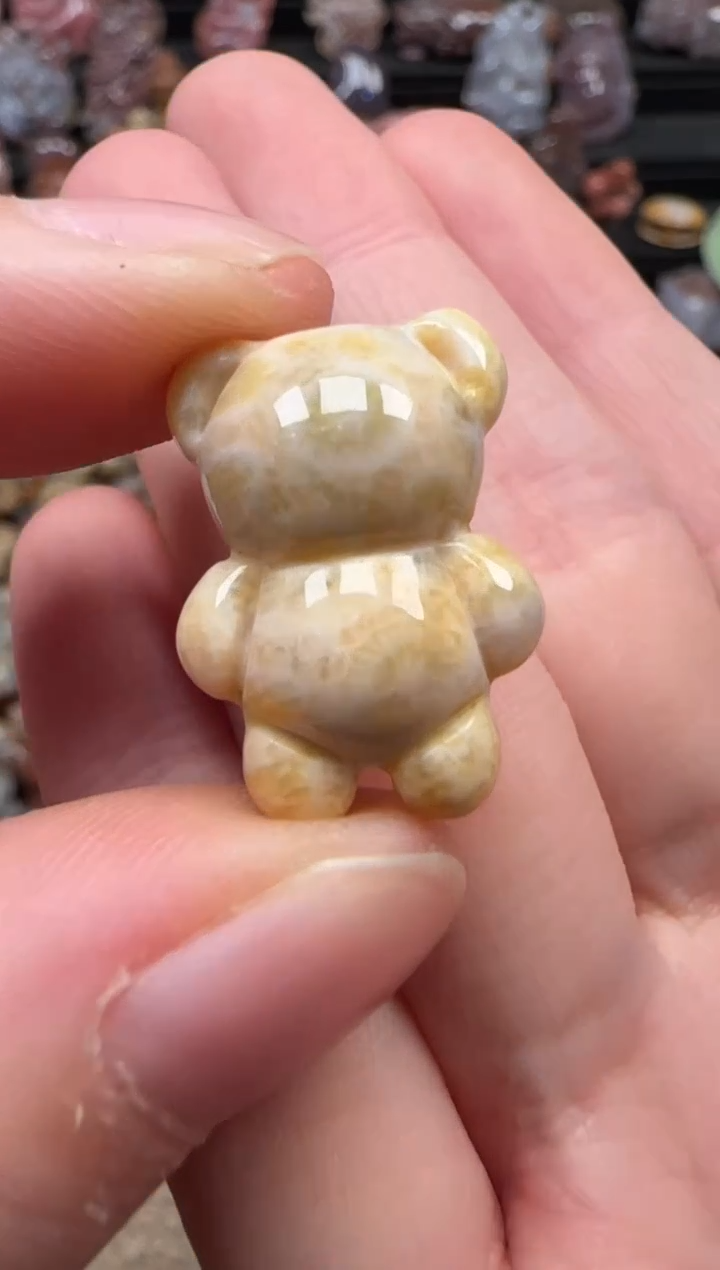 颈饰未镶嵌硅化珊瑚（珊瑚玉）038