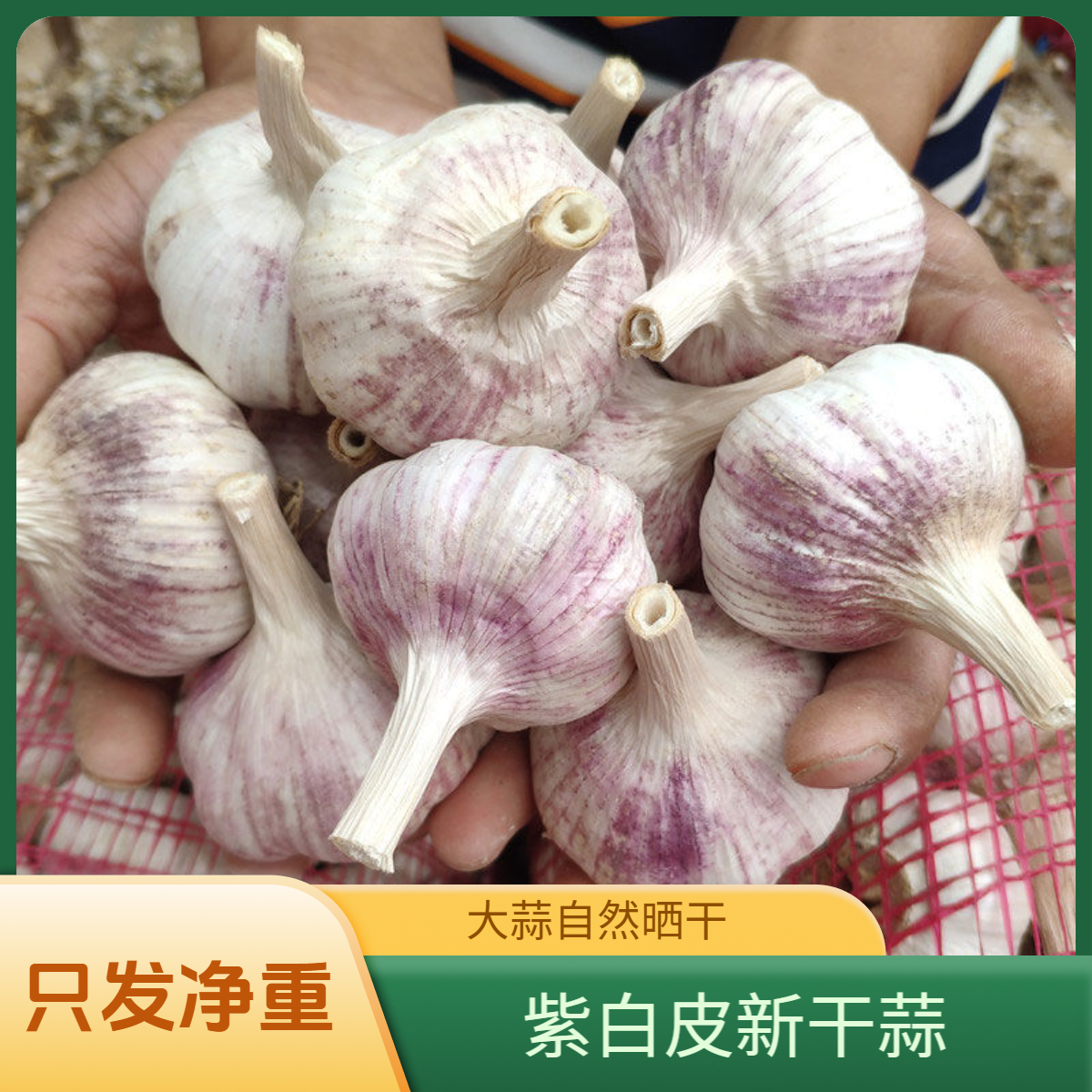 【新干蒜】河南杞县紫白皮大蒜自然晒干蒜香浓郁紫皮大蒜3斤5斤