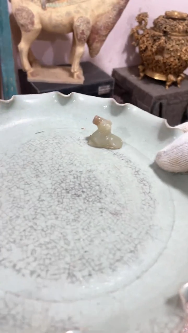 【闪购商品】瓷片瓷瓷瓷瓷瓷瓷瓷瓷瓷瓷瓷瓷瓷