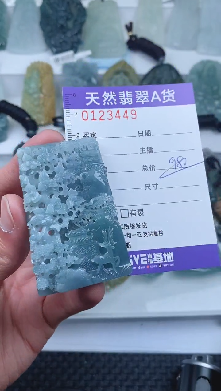 【闪购商品】翡翠颈饰未镶嵌        449