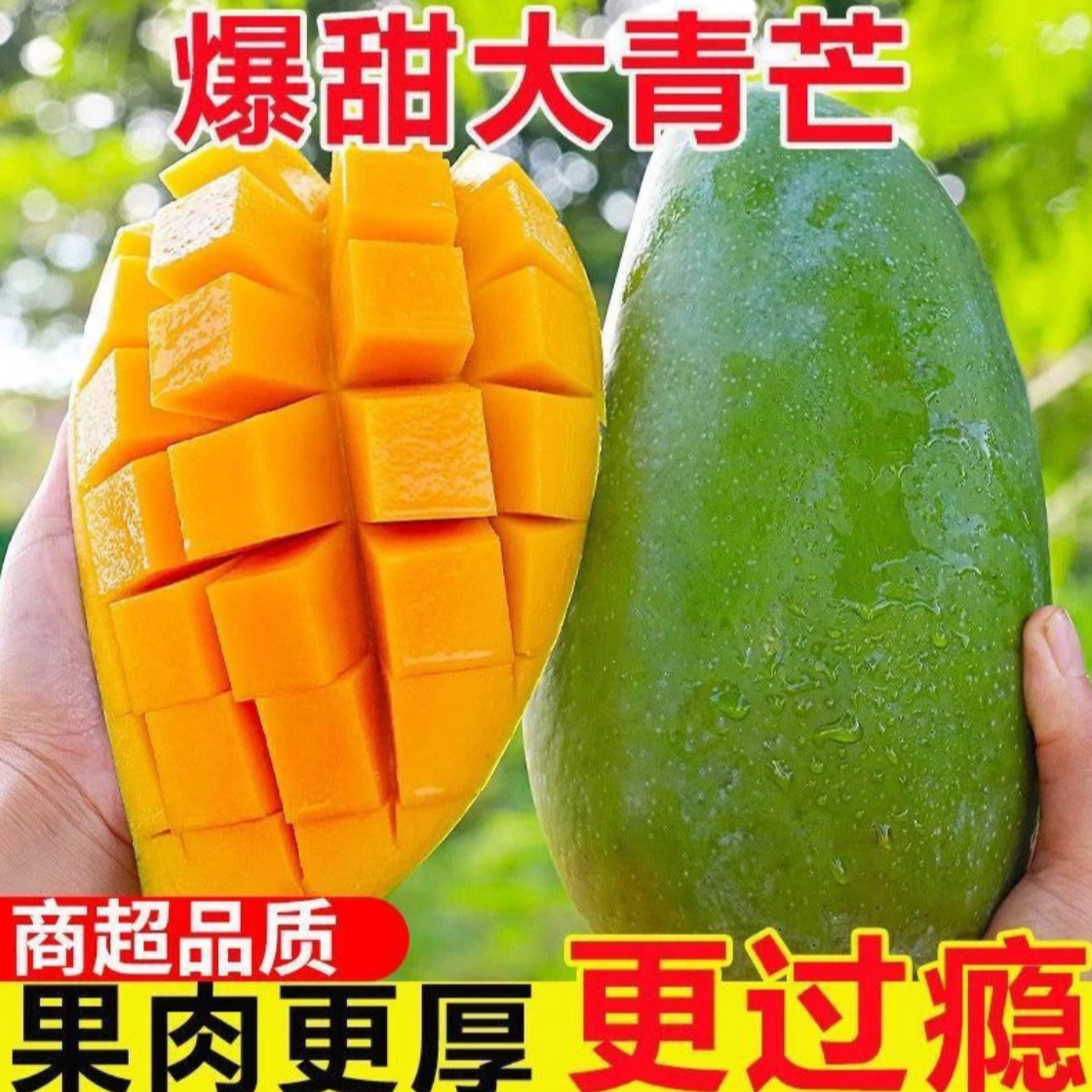 【现摘先发】云南大青芒芒果当季新鲜水果现摘大青芒爆汁脆甜