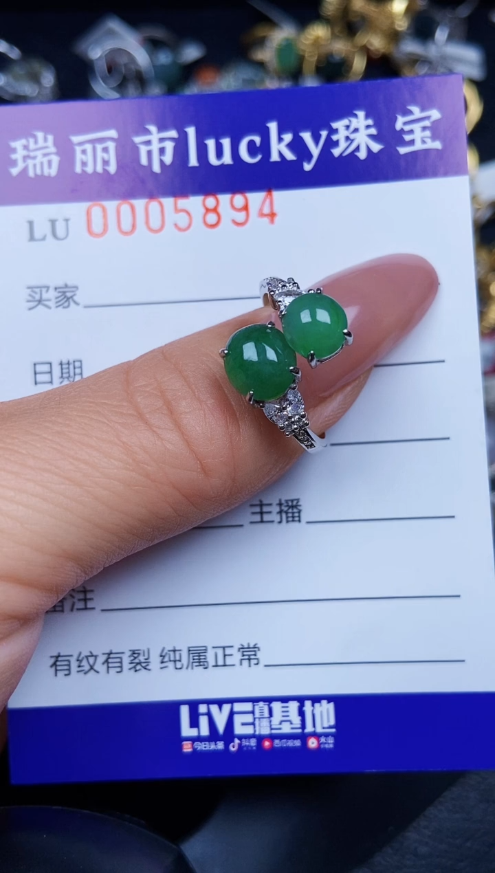 翡翠银S925镶嵌颈饰5894