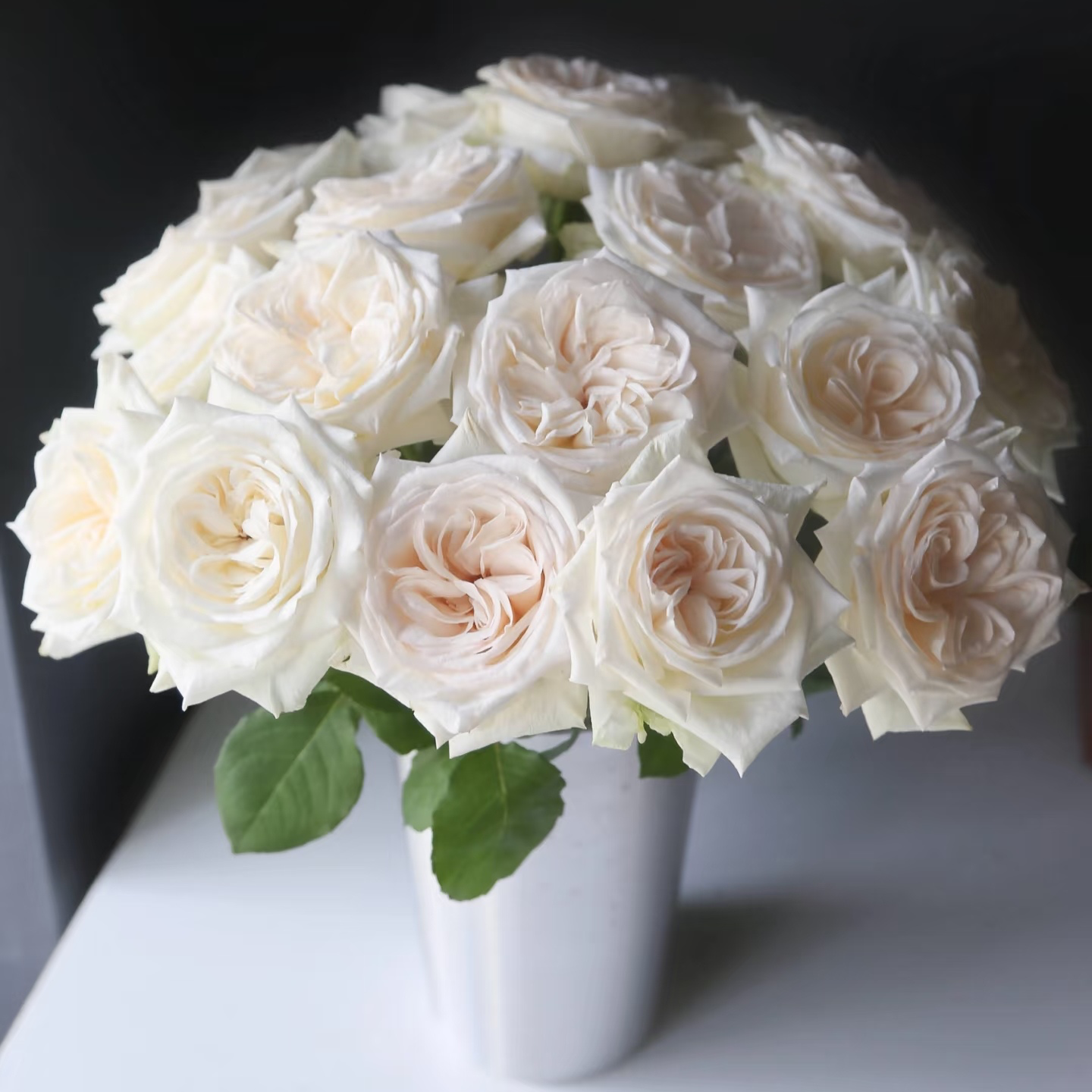 【白荔枝】单头玫瑰（全场同一地址两单顺丰冷链包邮噢~）