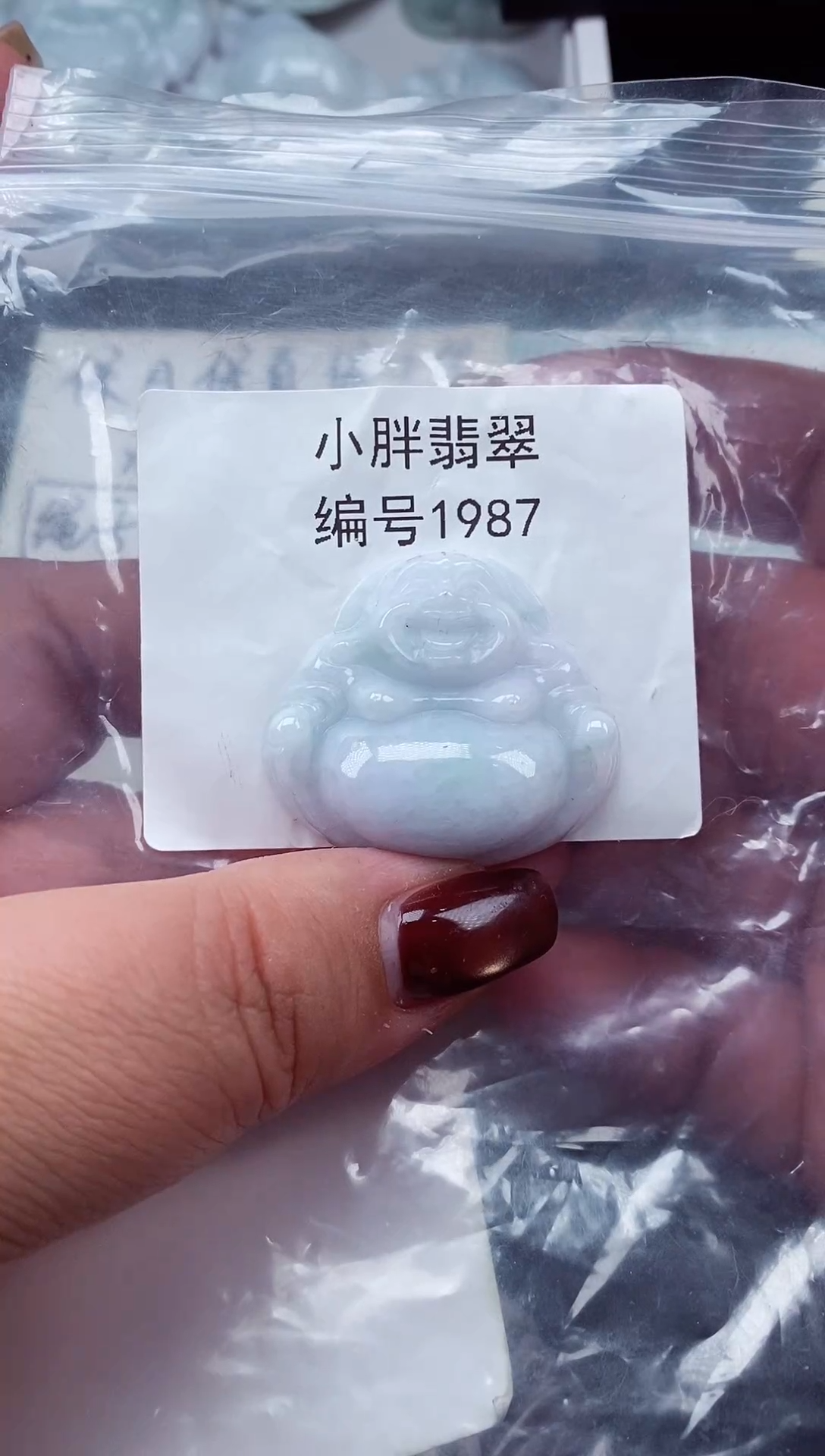 颈饰未镶嵌翡翠缅甸天然A货翡翠1987