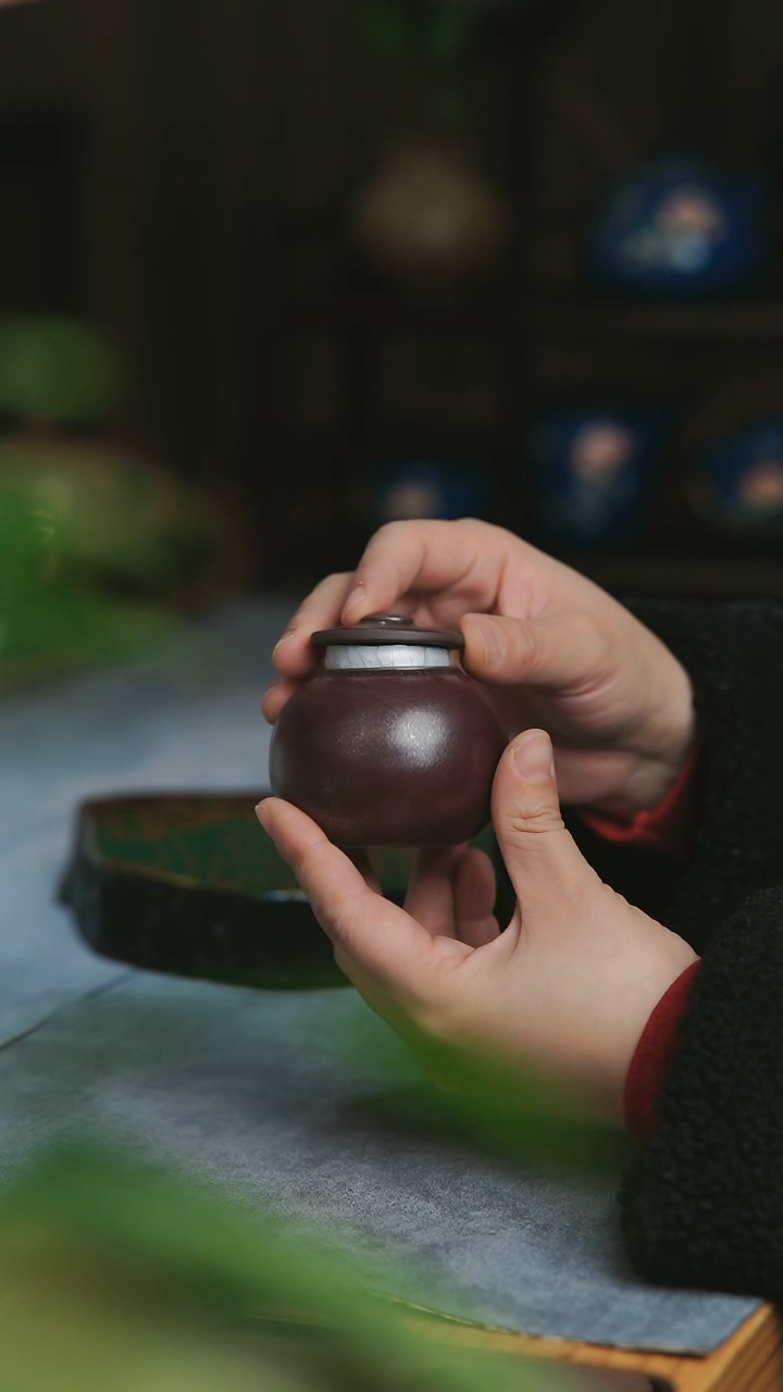 【闪购商品】 【闪购商品】 【闪购商品】