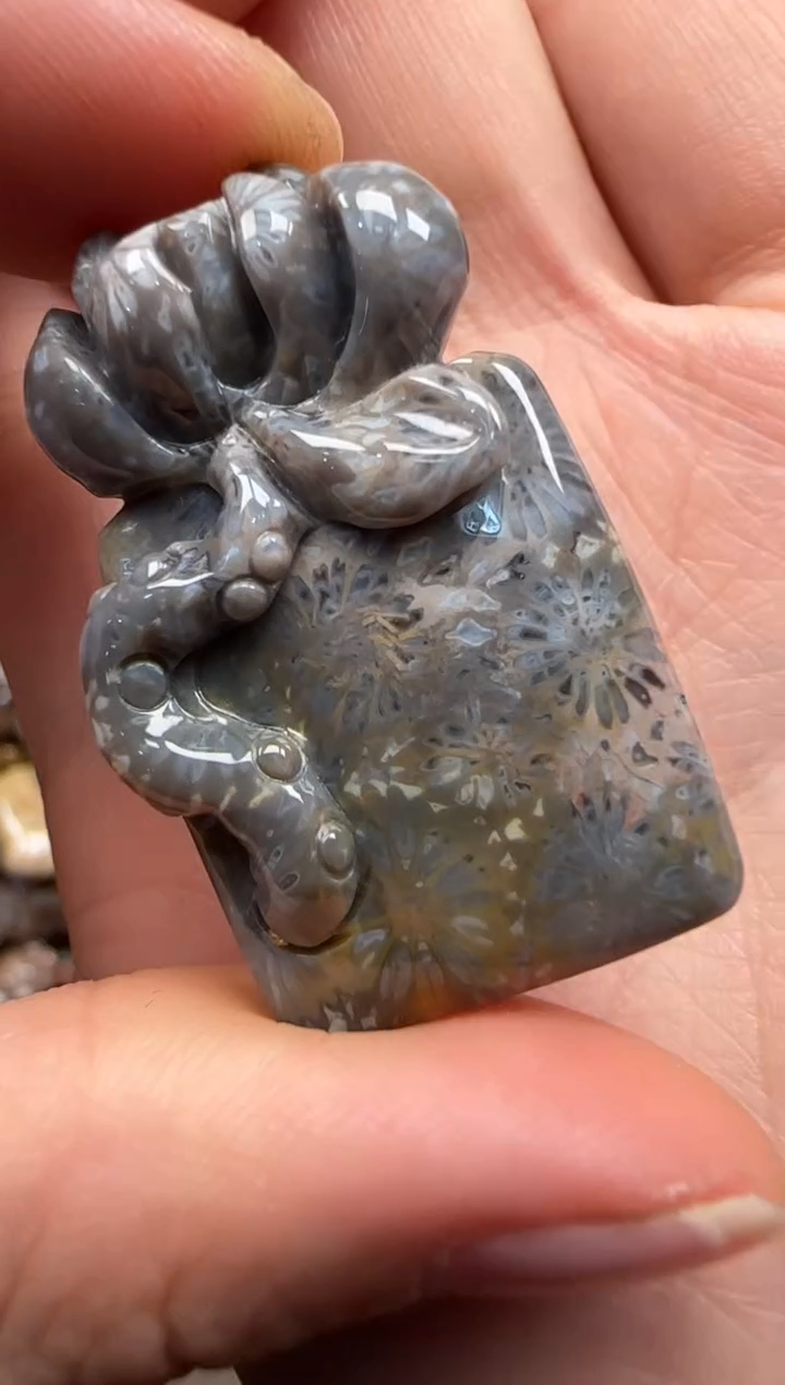 【闪购商品】硅化珊瑚（珊瑚玉）颈饰未镶嵌514