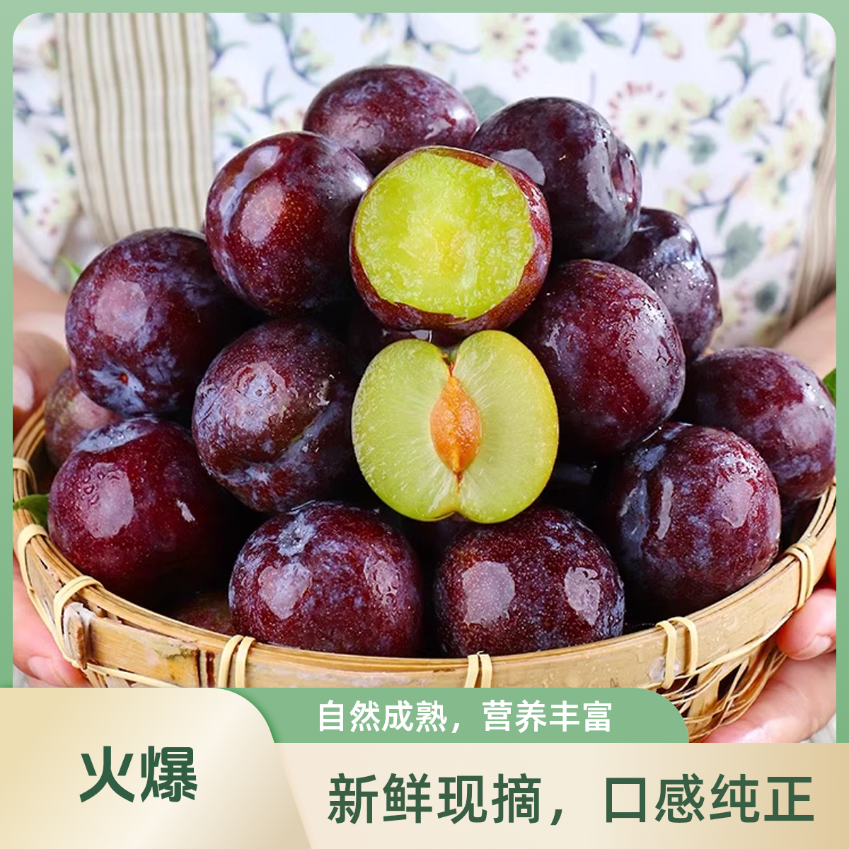 【次日达】正宗四川五月脆凤凰李当季新鲜水果脆甜多汁3斤/5斤装【川渝贵阳次日达 京东包邮】四川省