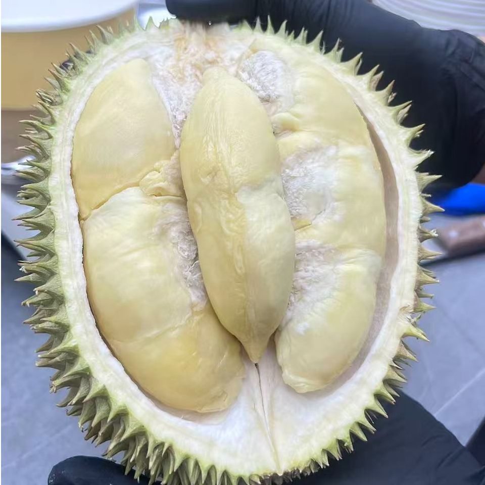 鲜果【D198金凤】马来西亚新鲜榴莲1~5斤多规格［核小］金凤马来西亚