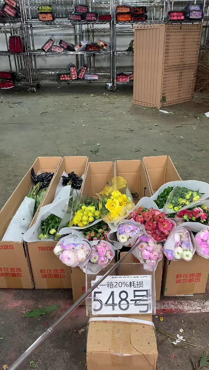 548/4号♥中通不指定随机颜色含20%耗损发一箱鲜花