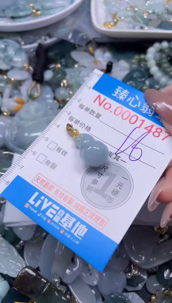 颈饰未镶嵌翡翠1487