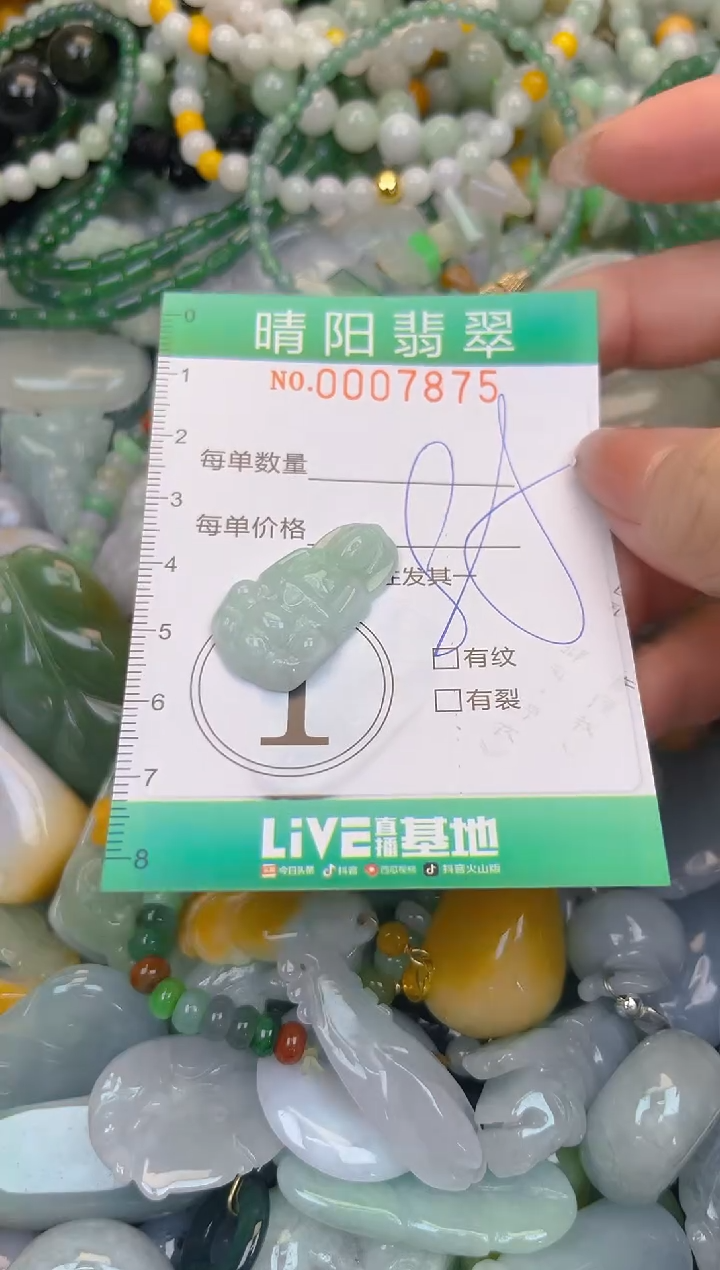 颈饰未镶嵌翡翠闪购0007875