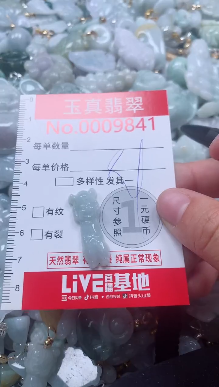 吊坠(不含链)未镶嵌翡翠9841