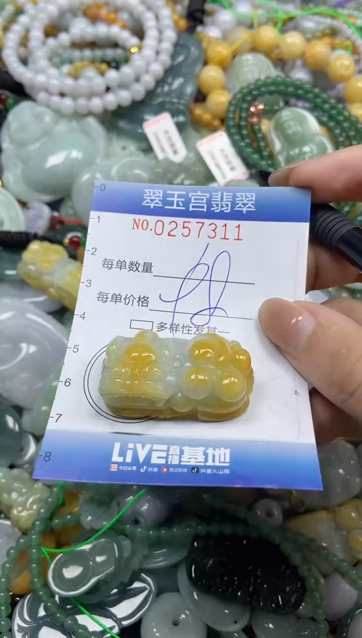 颈饰未镶嵌翡翠闪购C0257311
