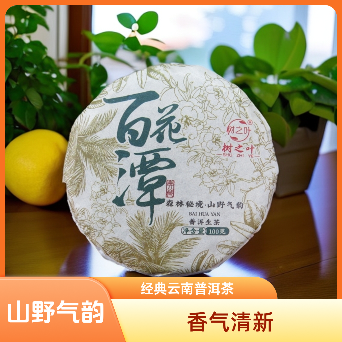 厂家活动买1直接送1饼2024年百花潭普洱生茶100克口粮茶