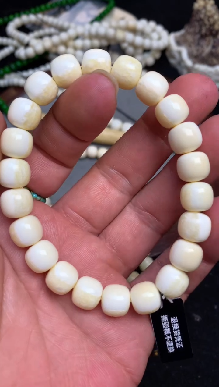 【闪购商品】橄榄核手串/手链猛犸猛犸猛犸猛犸D133