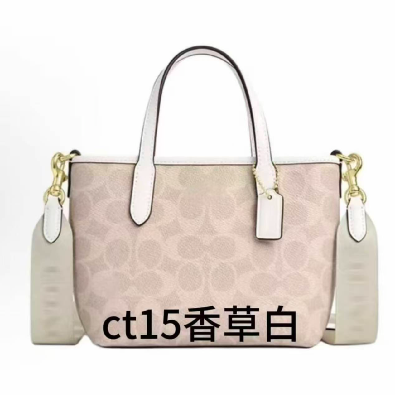 3号 CT15潮流手提女包