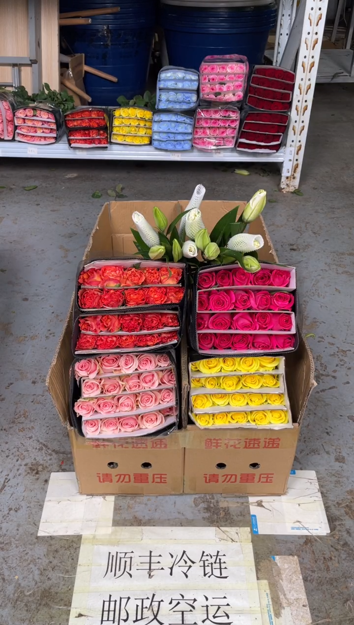 单头玫瑰40枝（任意2个品种）+白色重瓣百合6朵