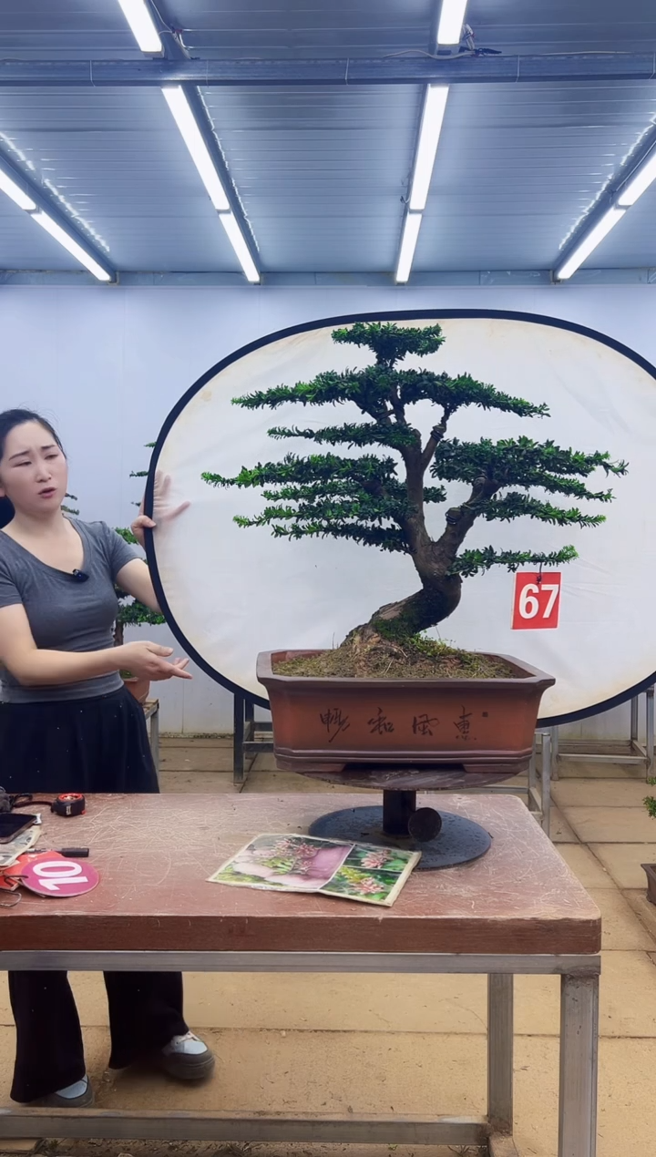 无花朵遵***粉一物一拍，所见即所得