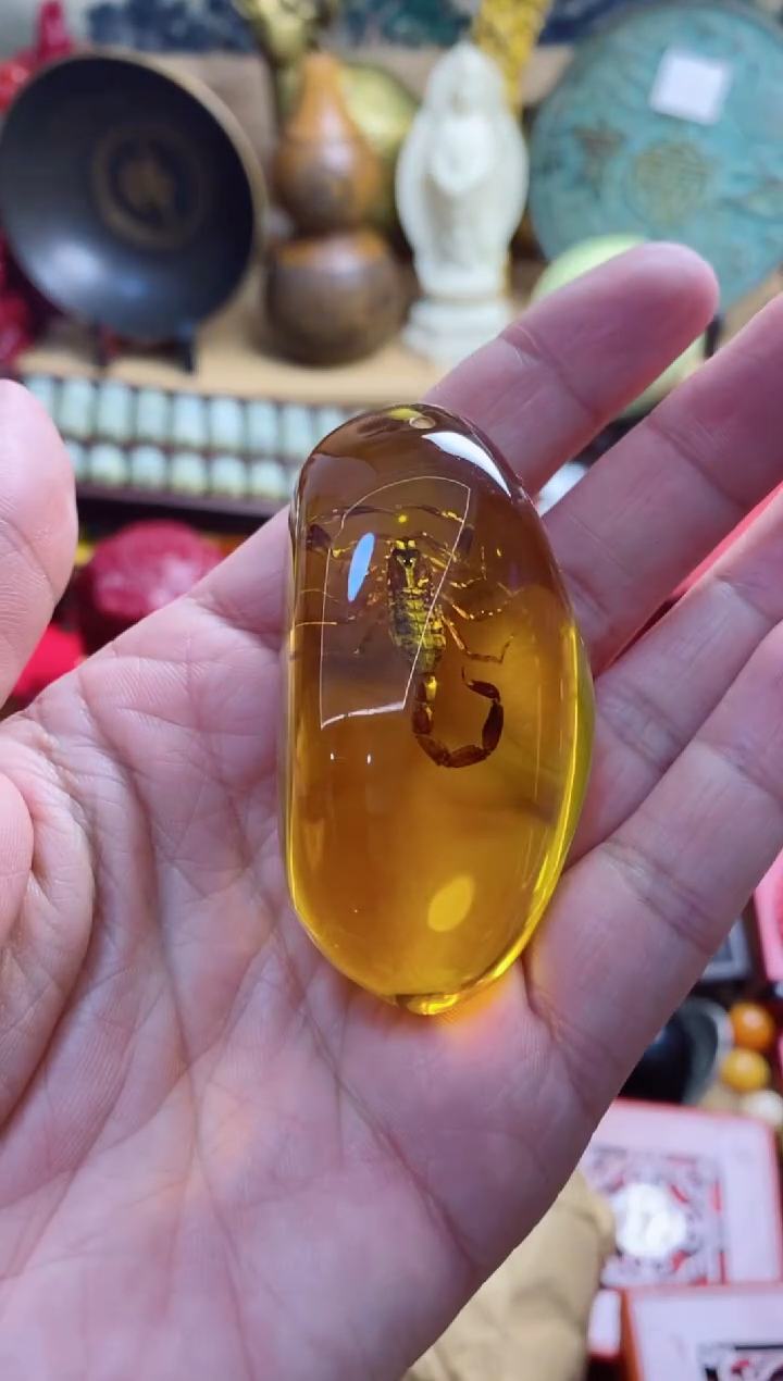 裸石琥珀未镶嵌主播推荐主播推荐