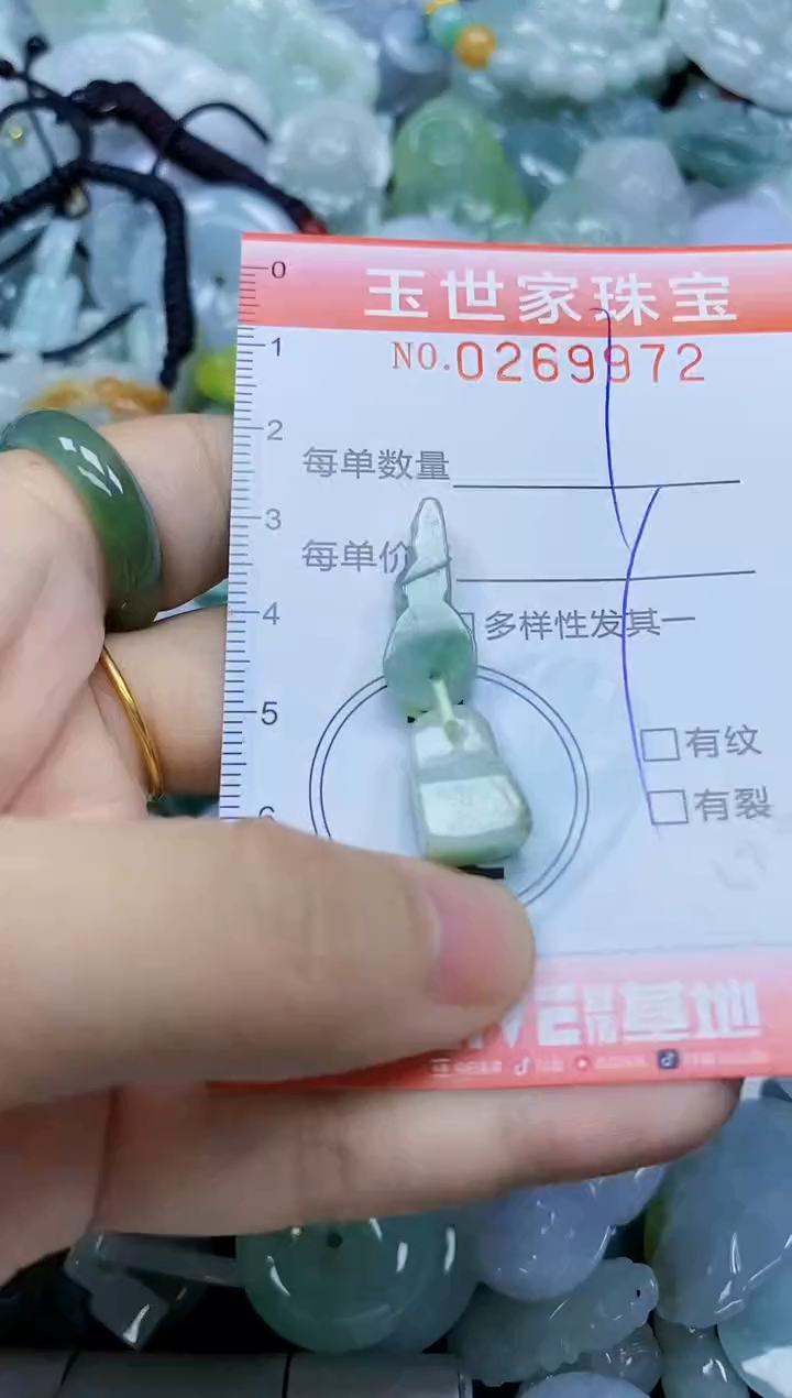翡翠未镶嵌颈饰闪购0269972