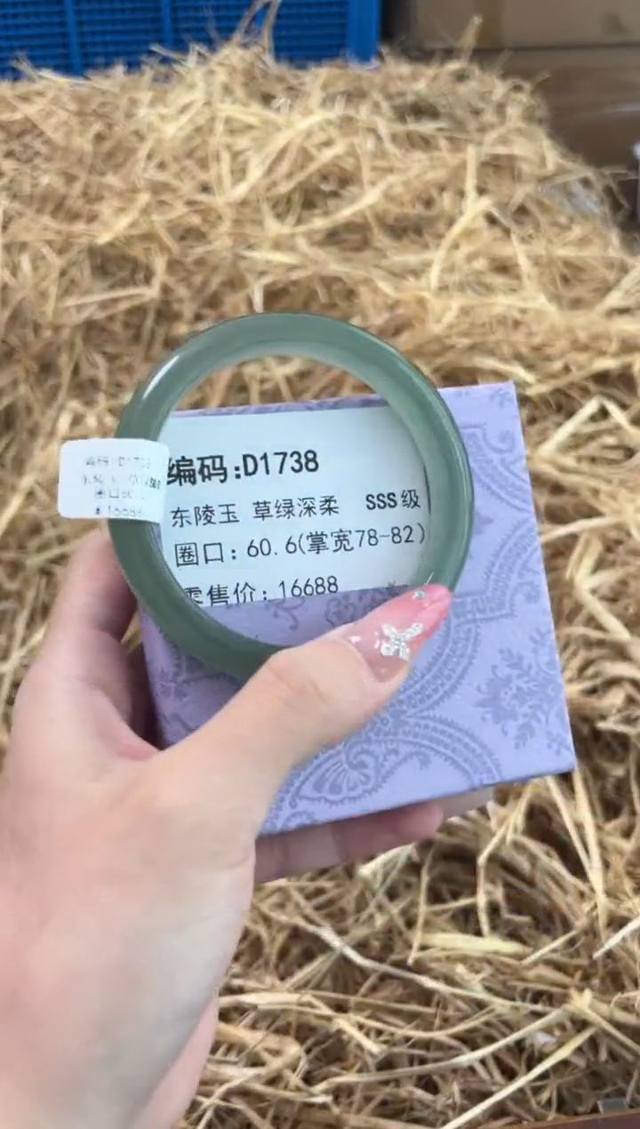 未镶嵌手镯石英质玉D1738